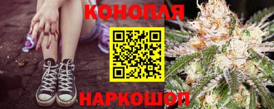 СК Камень-на-Оби