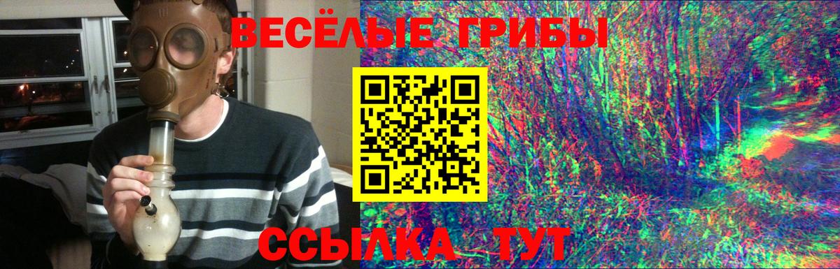 Северобайкальск  Галлюциногенные грибы Cubensis  Вход с VPN 