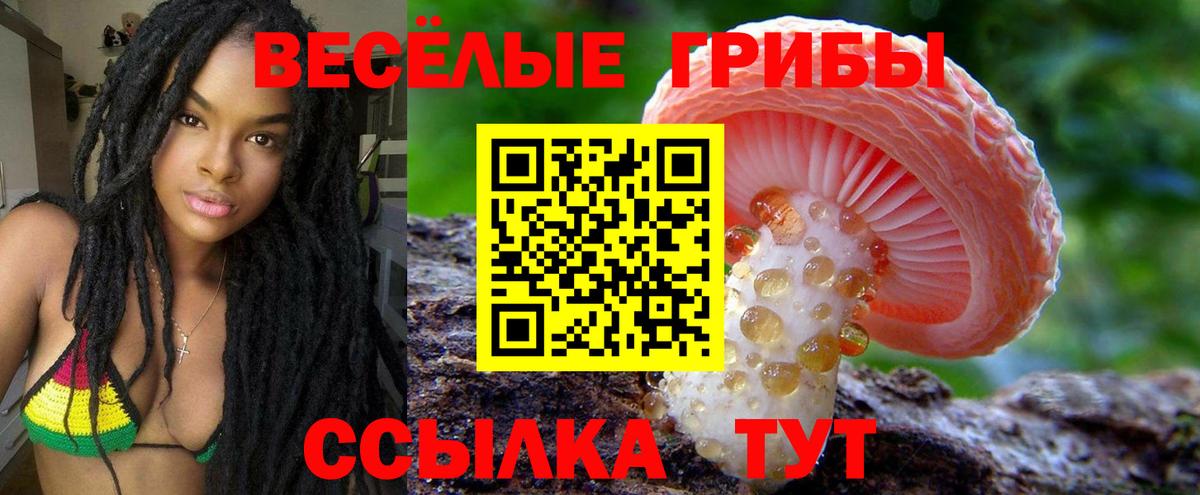 Галлюциногенные грибы мухоморы Северобайкальск